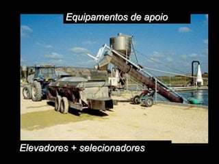 Equipamentos de apoio
Elevadores + selecionadores
 