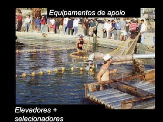 Equipamentos de apoio
Elevadores +
selecionadores
 