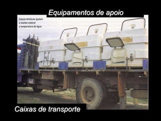 Equipamentos de apoio
Caixas de transporte
 
