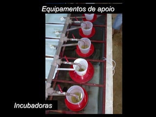 Equipamentos de apoio
Incubadoras
 