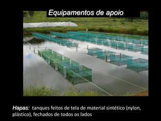 Equipamentos de apoio
Hapas: tanques feitos de tela de material sintético (nylon,
plástico), fechados de todos os lados
 