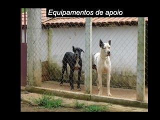 Equipamentos de apoio
 