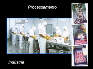 Processamento
Indústria
 
