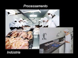 Processamento
Indústria
 