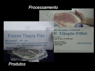 Processamento
Produtos
 