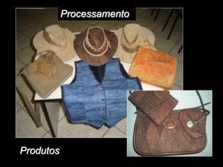 Processamento
Produtos
 