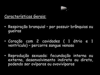 Características Gerais:
• Respiração branquial – por possuir brânquias ou
guelras
• Coração com 2 cavidades ( 1 átrio e 1
ventrículo) – percorre sangue venoso
• Reprodução sexuada: fecundação interna ou
externa, desenvolvimento indireto ou direto,
podendo ser ovíparos ou ovovivíparos
 