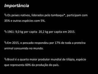 Importância
Os peixes nativos, liderados pelo tambaqui*, participam com
35% e outras espécies com 5%.
1961: 9,0 kg per capita 20,2 kg per capita em 2015.
Em 2015, o pescado respondeu por 17% de toda a proteína
animal consumida no mundo.
Brasil é o quarto maior produtor mundial de tilápia, espécie
que representa 60% da produção do país.
 