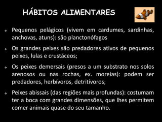 Pequenos pelágicos (vivem em cardumes, sardinhas,
anchovas, atuns): são planctonófagos
 Os grandes peixes são predadores ativos de pequenos
peixes, lulas e crustáceos;
 Os peixes demersais (presos a um substrato nos solos
arenosos ou nas rochas, ex. moreias): podem ser
predadores, herbívoros, detritívoros;
 Peixes abissais (das regiões mais profundas): costumam
ter a boca com grandes dimensões, que lhes permitem
comer animais quase do seu tamanho.
HÁBITOS ALIMENTARES
 