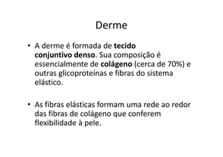 Derme
• A derme é formada de tecido
conjuntivo denso. Sua composição é
essencialmente de colágeno (cerca de 70%) e
outras glicoproteínas e fibras do sistema
elástico.
• As fibras elásticas formam uma rede ao redor
das fibras de colágeno que conferem
flexibilidade à pele.
 