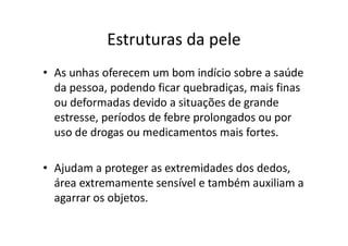 Estruturas da pele
• As unhas oferecem um bom indício sobre a saúde
da pessoa, podendo ficar quebradiças, mais finas
ou deformadas devido a situações de grande
estresse, períodos de febre prolongados ou por
uso de drogas ou medicamentos mais fortes.
• Ajudam a proteger as extremidades dos dedos,
área extremamente sensível e também auxiliam a
agarrar os objetos.
 