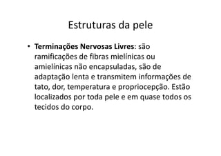 Estruturas da pele
• Terminações Nervosas Livres: são
ramificações de fibras mielínicas ou
amielínicas não encapsuladas, são de
adaptação lenta e transmitem informações de
tato, dor, temperatura e propriocepção. Estão
localizados por toda pele e em quase todos os
tecidos do corpo.
 