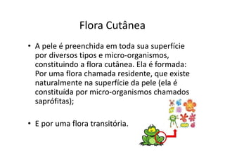 Flora Cutânea
• A pele é preenchida em toda sua superfície
por diversos tipos e micro-organismos,
constituindo a flora cutânea. Ela é formada:
Por uma flora chamada residente, que existe
naturalmente na superfície da pele (ela é
constituída por micro-organismos chamados
saprófitas);
• E por uma flora transitória.
 
