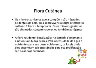 Flora Cutânea
• Os micro-organismos que a compõem são hóspedes
acidentais da pele, cuja sobrevivência sobre o território
cutâneo é fraca e temporária. Esses micro-organismos
são chamados contaminadores ou também patógenos.
• A flora residente: Localização: na camada descamante
e nos infundíbulos pilares. Pela necessidade de água e
nutrientes para seu desenvolvimento, os locais onde
eles encontram tais substâncias para sua proliferação
são os anexos cutâneos.
 