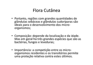 Flora Cutânea
• Portanto, regiões com grandes quantidades de
glândulas sebáceas e glândulas sudoríparas são
ideais para o desenvolvimento dos micro-
organismos;
• Composição: depende da localização e da idade.
Mas em geral há três grandes espécies que são as
bactérias, fungos e leveduras;
• Importância: a competição entre os micro-
organismos residentes e os transitórios permite
uma proteção relativa contra estes últimos.
 