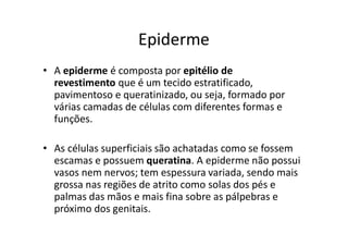 Epiderme
• A epiderme é composta por epitélio de
revestimento que é um tecido estratificado,
pavimentoso e queratinizado, ou seja, formado por
várias camadas de células com diferentes formas e
funções.
• As células superficiais são achatadas como se fossem
escamas e possuem queratina. A epiderme não possui
vasos nem nervos; tem espessura variada, sendo mais
grossa nas regiões de atrito como solas dos pés e
palmas das mãos e mais fina sobre as pálpebras e
próximo dos genitais.
 