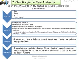 Década de 80: a partir de então até os dias de hoje, abraçada pela mídia a questão ambiental passa a ser um tema de discussão em todos os segmentos da sociedade.Professora Miriam AmorimEngenharia Ambiental