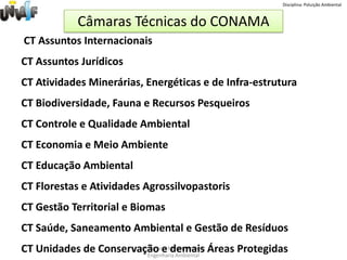 Disciplina: Poluição Ambiental2. Classificação do Meio AmbienteDo art 3º da PNMA e do art 225 da CF/88 é possível classificar o Meio Ambiente em:Professora Miriam AmorimEngenharia Ambiental