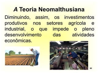 Diminuindo, assim, os investimentos 
produtivos nos setores agrícola e 
industrial, o que impede o pleno 
desenvolvimento das atividades 
econômicas. 
16 
A Teoria Neomalthusiana 
 