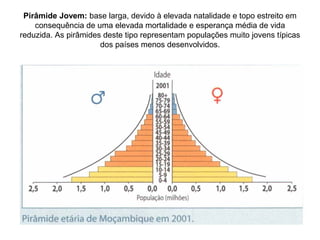 Pirâmide Jovem: base larga, devido à elevada natalidade e topo estreito em 
consequência de uma elevada mortalidade e esperança média de vida 
reduzida. As pirâmides deste tipo representam populações muito jovens típicas 
dos países menos desenvolvidos. 
 