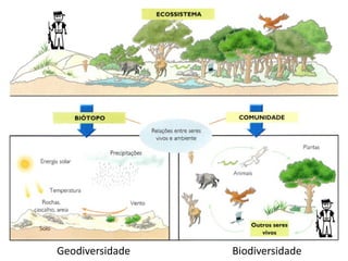 Geodiversidade Biodiversidade
 