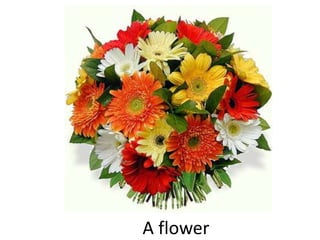 A flower