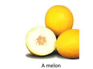 A melon