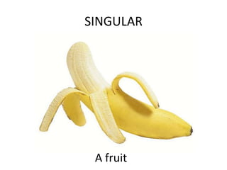 SINGULAR A fruit