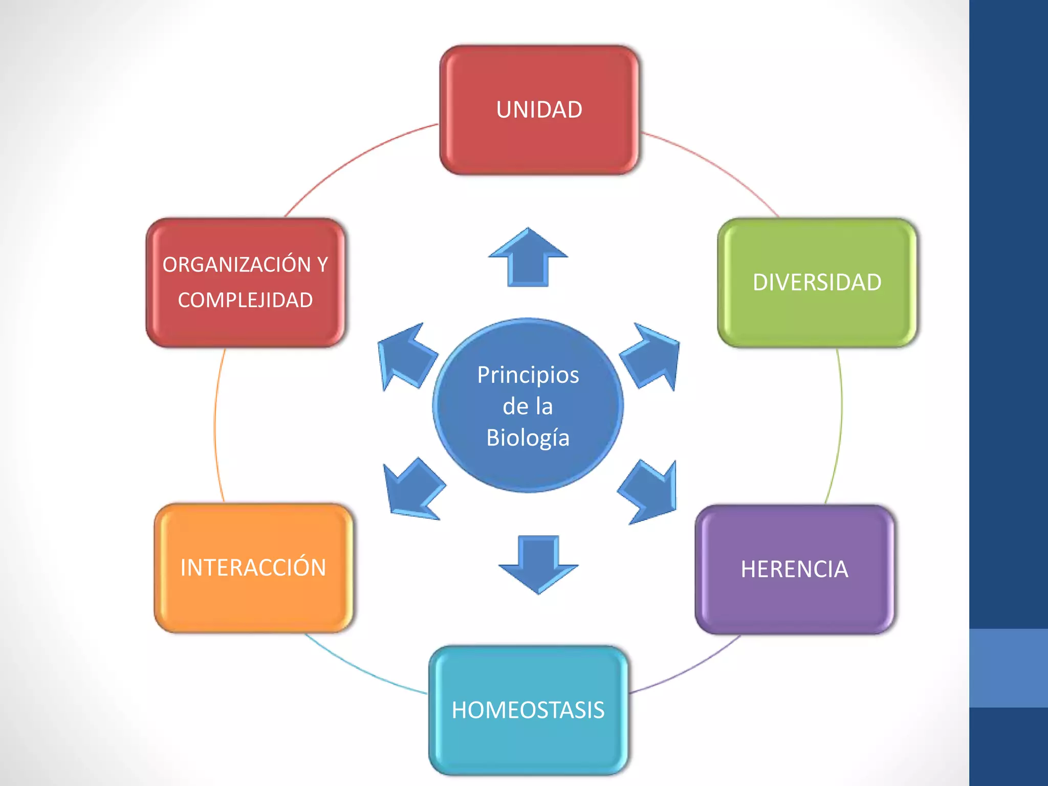Principios de la biologia | PPTX
