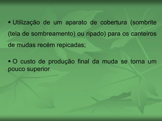  Utilização de um aparato de cobertura (sombrite
(tela de sombreamento) ou ripado) para os canteiros
de mudas recém repicadas;
 O custo de produção final da muda se torna um
pouco superior.
 