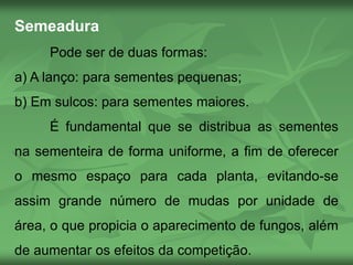 Semeadura
Pode ser de duas formas:
a) A lanço: para sementes pequenas;
b) Em sulcos: para sementes maiores.
É fundamental que se distribua as sementes
na sementeira de forma uniforme, a fim de oferecer
o mesmo espaço para cada planta, evitando-se
assim grande número de mudas por unidade de
área, o que propicia o aparecimento de fungos, além
de aumentar os efeitos da competição.
 