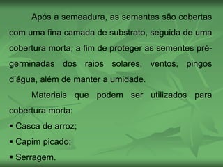 Após a semeadura, as sementes são cobertas
com uma fina camada de substrato, seguida de uma
cobertura morta, a fim de proteger as sementes pré-
germinadas dos raios solares, ventos, pingos
d’água, além de manter a umidade.
Materiais que podem ser utilizados para
cobertura morta:
 Casca de arroz;
 Capim picado;
 Serragem.
 