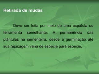 Retirada de mudas
Deve ser feita por meio de uma espátula ou
ferramenta semelhante. A permanência das
plântulas na sementeira, desde a germinação até
sua repicagem varia de espécie para espécie.
 