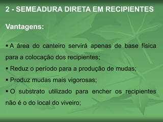 2 - SEMEADURA DIRETA EM RECIPIENTES
Vantagens:
 A área do canteiro servirá apenas de base física
para a colocação dos recipientes;
 Reduz o período para a produção de mudas;
 Produz mudas mais vigorosas;
 O substrato utilizado para encher os recipientes
não é o do local do viveiro;
 