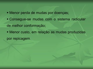  Menor perda de mudas por doenças;
 Consegue-se mudas com o sistema radicular
de melhor conformação;
 Menor custo, em relação as mudas produzidas
por repicagem.
 