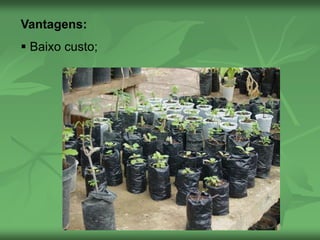 Vantagens:
 Baixo custo;
 