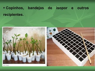  Copinhos, bandejas de isopor e outros
recipientes.
 