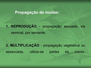 Propagação de mudas:
1. REPRODUÇÃO - propagação sexuada, via
seminal, por semente.
2. MULTIPLICAÇÃO - propagação vegetativa ou
assexuada, utiliza-se partes da planta.
 