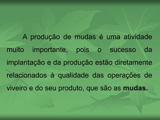 A produção de mudas é uma atividade
muito importante, pois o sucesso da
implantação e da produção estão diretamente
relacionados à qualidade das operações de
viveiro e do seu produto, que são as mudas.
 