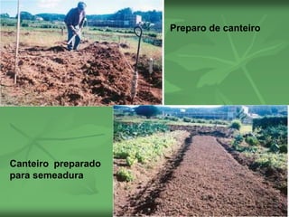 Preparo de canteiro
Canteiro preparado
para semeadura
 