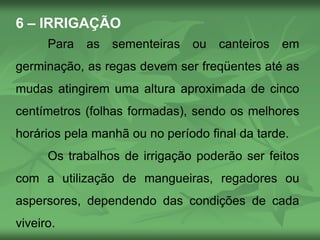 6 – IRRIGAÇÃO
Para as sementeiras ou canteiros em
germinação, as regas devem ser freqüentes até as
mudas atingirem uma altura aproximada de cinco
centímetros (folhas formadas), sendo os melhores
horários pela manhã ou no período final da tarde.
Os trabalhos de irrigação poderão ser feitos
com a utilização de mangueiras, regadores ou
aspersores, dependendo das condições de cada
viveiro.
 