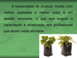 A necessidade de produzir mudas com
melhor qualidade e menor custo é um
desafio constante, e que tem exigido a
capacitação e atualização dos profissionais
que atuam nesta atividade.
 