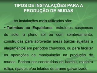 TIPOS DE INSTALAÇÕES PARA A
PRODUÇÃO DE MUDAS
As instalações mais utilizadas são:
 Tarimbas ou Espaldares: estruturas suspensas
do solo, a pleno sol ou com sombreamento,
construídas para aproveitar áreas baixas sujeitas a
alagamentos em períodos chuvosos, ou para facilitar
as operações de manipulação na produção de
mudas. Podem ser construídas de bambu, madeira
roliça, ripados e/ou telados de arame galvanizado.
 