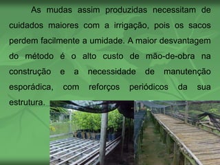 As mudas assim produzidas necessitam de
cuidados maiores com a irrigação, pois os sacos
perdem facilmente a umidade. A maior desvantagem
do método é o alto custo de mão-de-obra na
construção e a necessidade de manutenção
esporádica, com reforços periódicos da sua
estrutura.
 