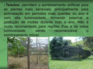  Telados: permitem o sombreamento artificial para
as plantas mais sensíveis, principalmente para
aclimatação em períodos mais quentes do ano e
com alta luminosidade, tornando possível a
produção de mudas durante todo o ano. Não é
muito recomendado para regiões frias e de baixa
luminosidade, sendo recomendável o
sombreamento móvel.
 