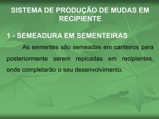 SISTEMA DE PRODUÇÃO DE MUDAS EM
RECIPIENTE
1 - SEMEADURA EM SEMENTEIRAS
As sementes são semeadas em canteiros para
posteriormente serem repicadas em recipientes,
onde completarão o seu desenvolvimento.
 