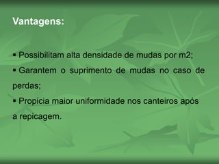 Vantagens:
 Possibilitam alta densidade de mudas por m2;
 Garantem o suprimento de mudas no caso de
perdas;
 Propicia maior uniformidade nos canteiros após
a repicagem.
 
