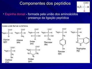 Componentes dos peptídiosComponentes dos peptídios
• Espinha dorsal - formada pela união dos aminoácidos
- presença da ligação peptídica
 