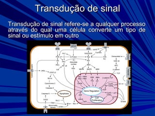 Transdução de sinalTransdução de sinal
Transdução de sinal refere-se a qualquer processoTransdução de sinal refere-se a qualquer processo
através do qual uma célula converte um tipo deatravés do qual uma célula converte um tipo de
sinal ou estímulo em outrosinal ou estímulo em outro
 