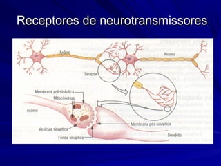 Receptores de neurotransmissoresReceptores de neurotransmissores
 